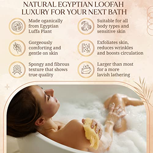 All Natural Loofah Sponge, Pack of 3 Real Egyptian Bath & Shower Exfoliating Loofa Scrubber Sponges for Face, Back & Body, Eco Friendly, No Toxic Chemicals, 6" x 6" by Crafts of Egypt