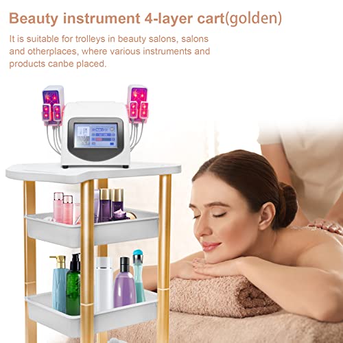 Beauty Salon Trolley Spa Styling Pedestal Rolling Cart Two Shelf ABS Aluminum Elitzia ETTROLLEY5 (Gold cart)