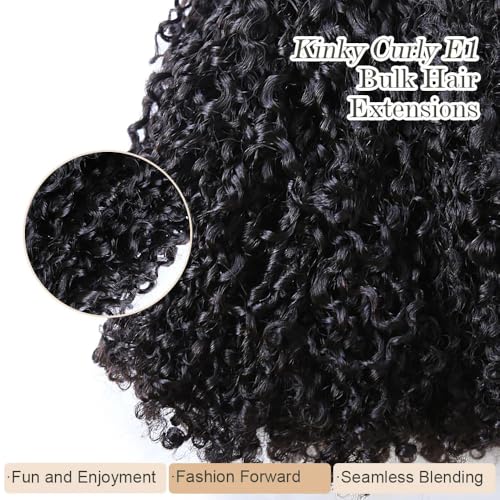 Afro Kinky Bulk Human Braiding Hair 100% Unprocessed Brazilian Virgin Human Hair Extensions Micro Kinky Curly Braids Hair Braids Double Drown Full End Bulk Hair 14 Inch 100g (Pack of 1)