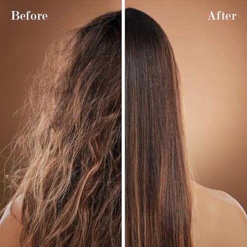 Saphira Mineral Hair Care Collection ? Moisture Repair, Healing Repair & DeFrizz Hair Masks and Mineral Mud Treatments