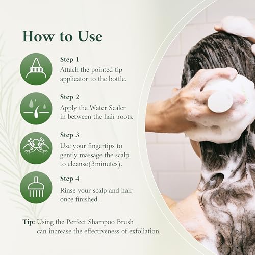 STEAMBASE Tea Tree Scalp Water Scaler | Exfoliator for Itchy Dry Flaky Scalp, Buildup Remover, Treatment for Excess Sebum Oily Greasy Hair | Korean Hair Care Products, Refill 16.9 fl oz