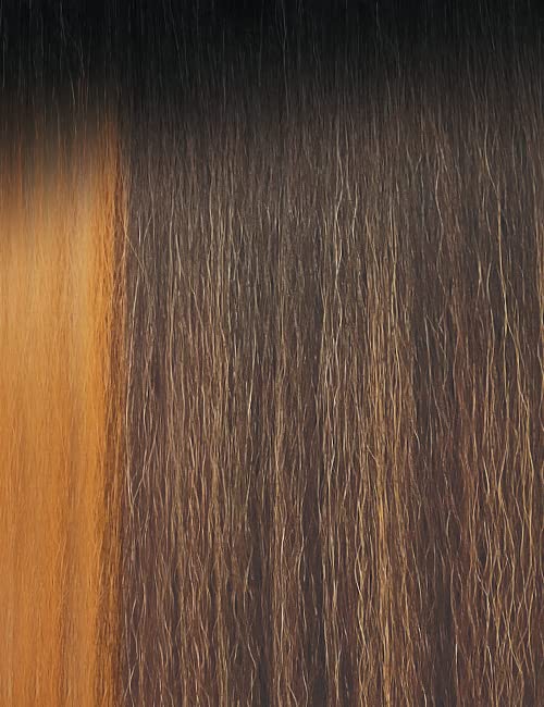 Outre Lace Front Wig - Melted Hairline – PASCALE (DRFF2/TOASTED ALMOND)