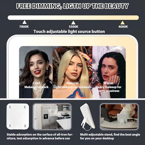 Makeup Organizer Box with Detachable Lighted Mirror, Travel Train Cosmetic Case, Adjustable Divider Storage Bag, Portable Artist Storage Suitcase with Magnetic LED Mirror (Light Pink)