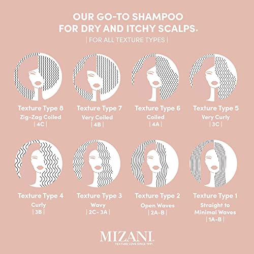 Mizani Scalp Care Dandruff Shampoo | Pyrithione Zinc | Cleanses Hair & Scalp | For Curly Hair | 16.9 Fl Oz