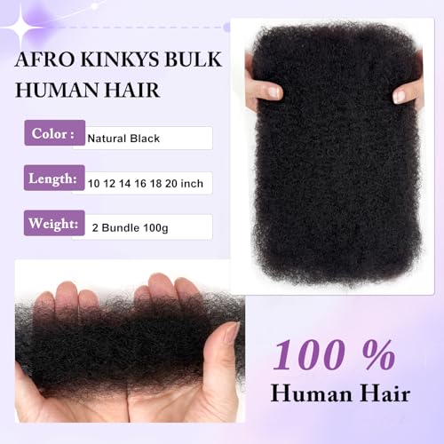 Kinky-curly Bundles Human Hair 16 Inch Afro Kinkys Bulk Human Hair for Braiding Mini Twists 100g 4c Human Braiding Hair For Dreadlocks Extensions