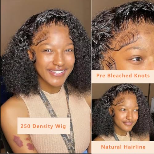 13x6 Lace Front Wigs Human Hair With Baby Hair 250% Density Kinky Curly Wig Human Hair Lace Front Curly Wig Pre-Plucked Brazilian Curly Virgin Hair for Black Women 18inch