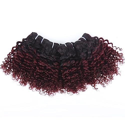 1b/99j Curly Human Hair Bundles and Closure(10 10 10+10) Kinky Curly Bundles Human Hair Brazilian Virgin Ombre 99j Burgundy Red Human Hair 3 Bundles with 4x4 Closure 50 Gram/Bundle