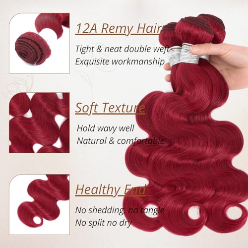 Red Burgundy 3 Bundles Human Hair Body Wave, 12A Colored 100% Unprocessed Remy Hair Soft and Bouncy Burgundy Cherry Red 99J Human Hair Wavy Bundles Sew in Double Weft Quick Weave 12 14 16 Inch
