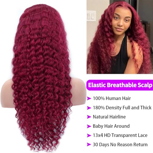 Burgundy Deep Wave Lace Front Wigs Human Hair 13x4 180% Density Red Frontal Wigs Human Hair Hd Lace Front Wigs Human Hair Pre Plucked Burgundy Wig Human Hair Wigs for Black Women (32 Inch)