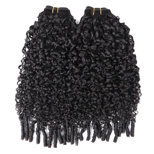 Burmese Curly Clip in Hair Extensions Human Hair 3C4A Lace Clip in Human Hair Extensions 2 Pack 240g 14pcs Spirally Curly Classic Clips Ins Real Human Hair Extension Full Head For Black Women 18 Inch