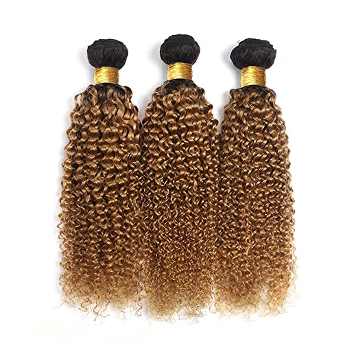 20 22 24 inch 1B27 Honey Blonde Kinky Curly Human Hair Bundles Ombre Blonde Curly Wave Bundles Human Hair Unprocessed Brazilian Virgin Weave Hair Bundles Kinky Curly Bundles Human Hair