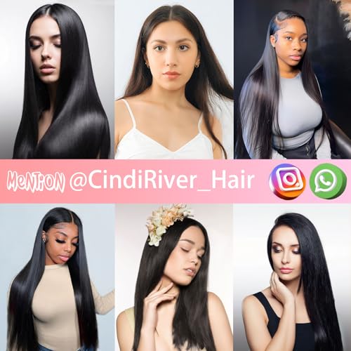 Silky Straight Clip in Hair Extensions Real Human Hair,22 inch 4.24oz Remy Human Natural Hair Clip ins for Women 8pcs Double Weft