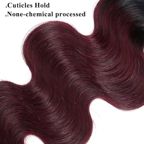 1B/99J/Red Ombre Body Wave Human Hair Bundles 12A Grade 3 Tone Black Burgundy Red Human Hair Bundles 22 24 26Inch Unprocessed Virgin Hair Body Wave