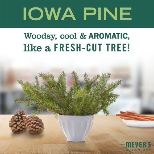 Mrs. MEYER'S CLEAN DAY Iowa Pine Liquid Hand Soap (Pack of 4)