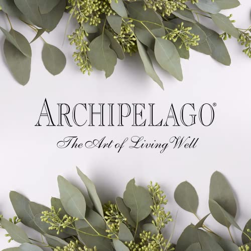 Archipelago Botanicals Oat Milk Body Scrub, Exfoliating Body Scrub for Rejuvenated, Smooth and Glowing Skin, Made with Natural Ingredients, Blended with Wild Oats (9.4 oz)