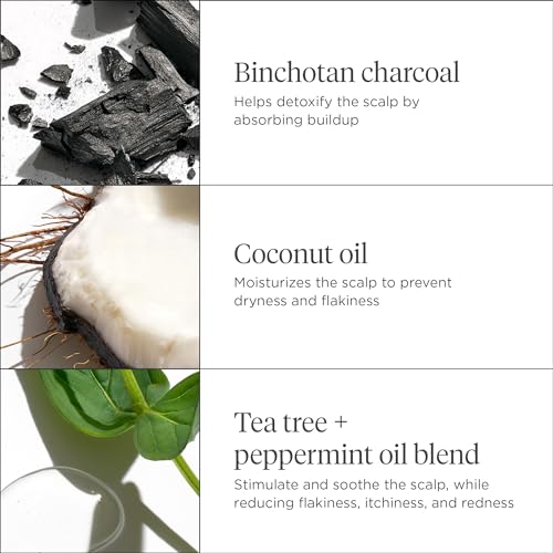 Briogeo Scalp Revival Charcoal + Coconut Oil Micro-Exfoliating Shampoo, Treatment for Dry & Itchy Scalp, Clarifying Shampoo for Build Up, Scalp Scrub for Oily Scalp, Vegan, Cruelty-Free