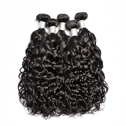 Brazilian Water Wave 5Bundles(50g/bundle) with 4x4 Lace Closure Wet and Wavy Bundles With Closure Deep Curly Human Hair Bundles with Closure(10/10/10/10/10+10)