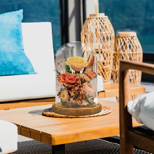 Eternal Flowers with Butterfly: Big Is Love Series-Elegant Preserved Flowers in Glass Dome-Valentines, Anniversary, Mom Gifts for Her-Flowers for Delivery Prime-Flower Arrangements (Orange)
