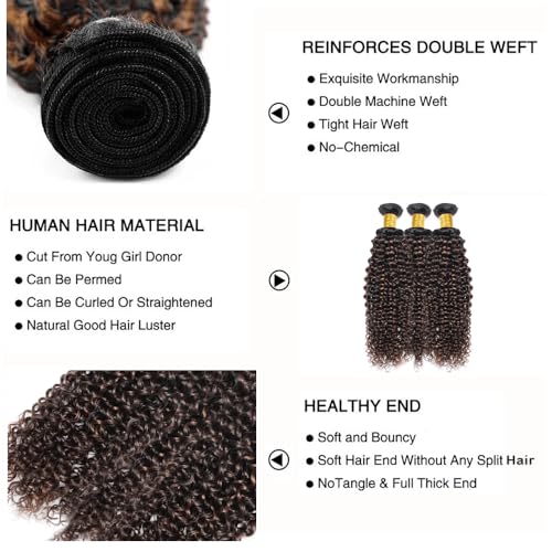Highlight Bundle P1B30 Kinky Curly Wave Human Hair Bundles Two Tone Black Mixed With Light Brown 3 Bundles 32 32 32 Inch 1B30 Ombre Brown Wet And Wavy Bundle