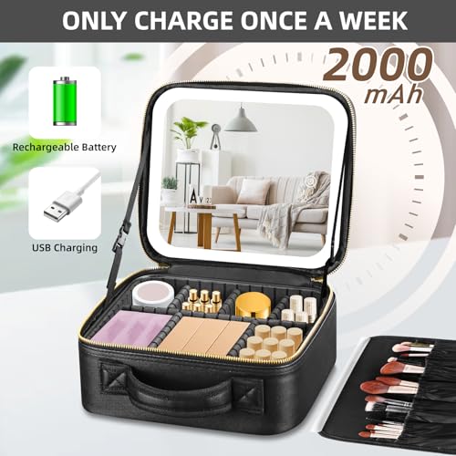 Travel Makeup Bag with Mirror of LED Lighted, Makeup Train Case with Adjustable Dividers, Makeup Case with Mirror and Detachable 10x Magnifying Mirror