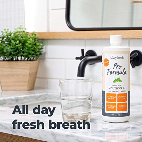 Oxyfresh Pro Formula Fresh Mint Mouthwash ? Patented Zinc Mouthrinse for Fresh Breath, Healthy Gums & Bad Breath Treatment for Adults - Dye, Fluoride & Alcohol Free (1 Gallon)