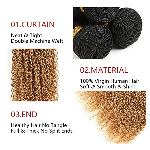Ombre 1B27 Kinky Curly Bundles Black To Honey Blonde Human Hair Bundles Curly Wave Grade 8A Brazilian Remy Hair Weaves Extensions For Women 26 28 30 Inch