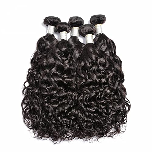 Brazilian Water Wave 5Bundles(50g/bundle) with 4x4 Lace Closure, Wet and Wavy Bundles Human Hair, Long Curly Bundles Human Hair with Free Part Closure (20/20/20/20/20+20)