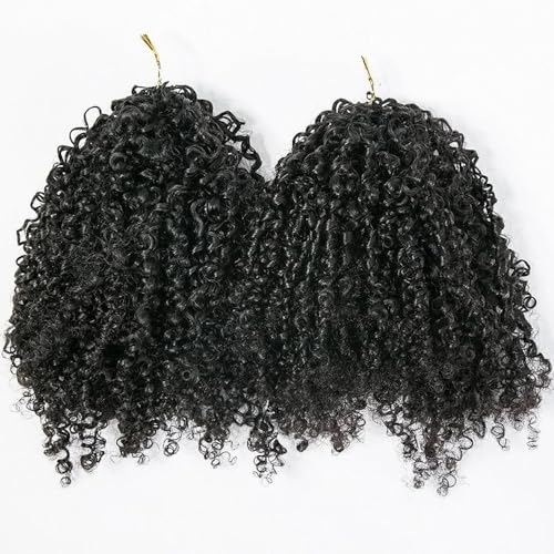 Kinky Curly Crochet Human Hair Extensions Pre-Separated Crochet Hair Multi-Textured Kinky Curly Reusable Micro Twists 18in 120g (Usually 240g Full Head) Natural Black