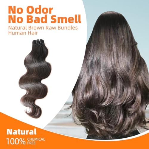 Clytie One Donor Raw Natural Dark Brown Body Wave Bundles Human Hair, 5 Years Lasting Raw Cambodian Short 1 Single Wavy Bundle Human Hair 14 Inches Unprocessed Virgin Sew in Can Lift 613