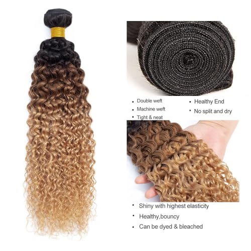14 16 18 Inch T1B4/27 Ombre Blonde Bundles Human Hair Kinky Curly 3 Bundles 100 Grams/Bundle 10A Grade Unprocessed Brazilian Virgin Hairs Ombre Bundles Weaves Hair Extensions For Women