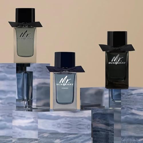 Burberry Mr. Burberry Eau de Toilette 1.6 fl oz