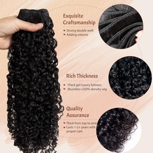Burmese Bundles Human Hair Water Wave 1 Bundle Real 15A Wet And Wavy Unprocessed Virgin Remy 100% Human Hair Extensions Deep Curly Weaves Long Lifespan Extra Thick Natural Black 12inch