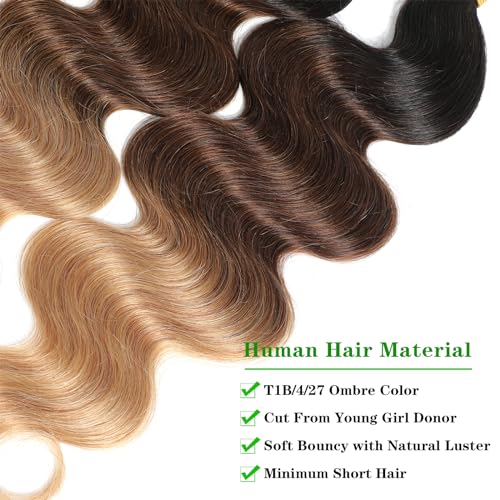 Ombre Human Hair Bundles (T1B/4/27, 20 22 24) Body Wave Bundles Human Hair 12A 100% Brazilian Virgin Remy Hair 3 Tone Black to Honey Blonde Weave