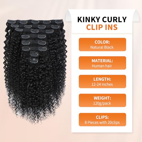 Kinky Curly Clip ins Human Hair 3C 4A Curly Clip in Hair Extensions for Black Women 8Pcs with 20Clips 120g/set 10A Brazilian Human Hair Natural Black 16 Inch