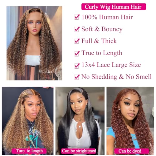 13x4 Highlight Ombre Deep Wave Lace Front Wigs Human Hair Pre Plucked 180% Density Glueless Transparent 4/27 Lace Front Wigs with Baby Hair Deep Wavy Lace Frontal Wigs for Women 26 Inch