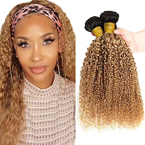 Ombre 1B27 Kinky Curly Bundles Black To Honey Blonde Human Hair Bundles Curly Wave Grade 8A Brazilian Remy Hair Weaves Extensions For Women 26 28 30 Inch