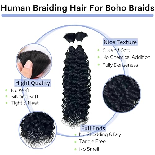 Human Braiding Hair for Boho Braids 20inch 100% human hair Water Wave Bulk Braiding Knotless No Weft Curly Bundles Human Hair Wet and Wavy Micro Hair Extensions Bulk 2 Bundles 100g hair Natural Color