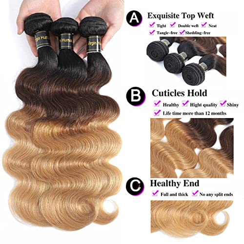 Shining Girl 12A Ombre Body Wave Bundles With Closure Brazilian Virgin Remy 100% Human Hair Ombre 3 Tone T1B/4/27 Color Human Hair Extensions 3 Bundles with 4x4 Lace Closure (18 20 22+16, 1B#/4#/27#)