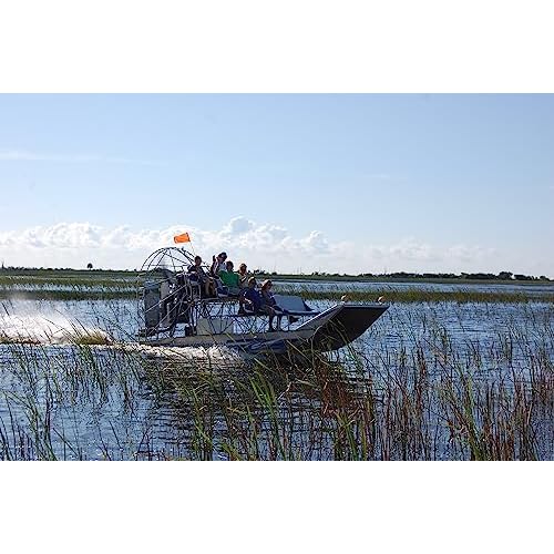 Wonderbox - Original Gift Idea - Experience Gift - Bucket List Experiences - 1 Activity to Choose from a Selection: Ferrari Driving, Dolphin Watching, Speedboat, Airboat for Gators Watching...