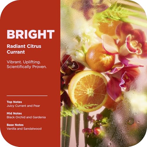 OLLY Bright Body Wash with Ginseng, Caffeine & Vitamin C? Nourishing Cleanser for Skin Barrier Repair, Deep Hydration, Citrus Currant Scent, 17 oz