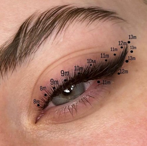 M curl 1200 Promade volume fans eyelash extension 8 sizes-in-1 round mixed box - 6D Premade fans 9-16mm, 0.07 - Pinneacle Lash Supply For Professional Lash Artists - Made in Vietnam (M curl)
