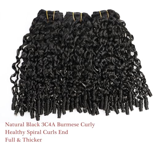 YMS 3C4A Burmese Curly Human Hair Bundles 18 20 22 Inch Curly 3 Bundles Unprocessed Burmese Raw Hair Extension Real Human Hair 16A Natural Color Spiral Curly End Human Hair Weft Extensions
