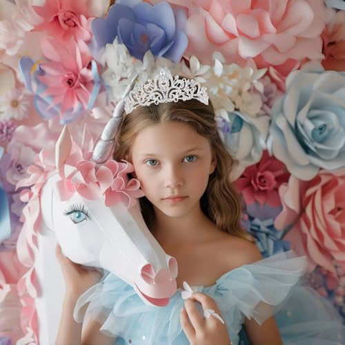 Schmoopy Tiara Crown for Women, Crystal Tiara for Bridal Prom Queen Birthday Birthday Party (A-Silver)
