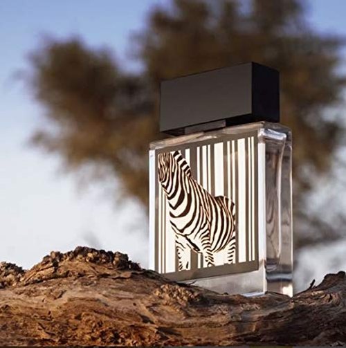 RASASI Rumz Al 9325 Pour Elle For Women EDP (Eau De Parfum) 50 ML (1.67 oz) | Rich Woody Accord, lingering Musk Notes Perfumes