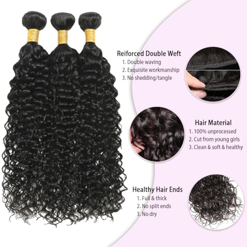Water Wave 3 Bundles Human Hair (20 22 24 Inch) 100% Unprocessed Brazilian Virgin Human Hair Bundle Double Weft Water Curly Wave Bundle For Black Women Wet and Wavy 3 Bundles Natural Black
