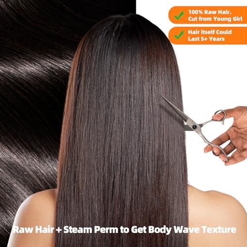 Clytie One Donor Raw Natural Dark Brown Body Wave Bundles Human Hair, 5 Years Lasting Raw Cambodian Short 1 Single Wavy Bundle Human Hair 14 Inches Unprocessed Virgin Sew in Can Lift 613