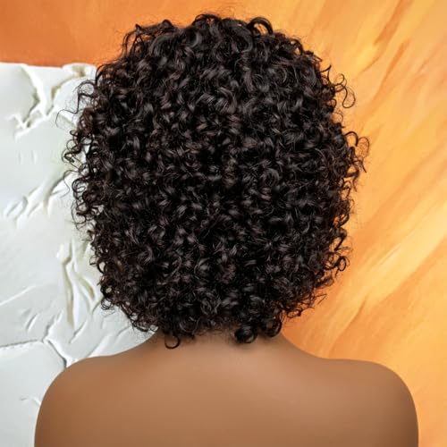HairyFairy short curly wigs, 100% human hair wigs for black women, human hair wig with bangs glueless, machine made, no lace, light and comfortable (natural black, 12 inches)