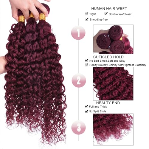 #99J Burgundy Bundles Human Hair Water Wave Bundles 16 18 20 Inch Wine Red Water Wave Bundle Human Hair Extensions Unproceesed Virgin Hair 50 Gram Per Bundle 3 Bundle