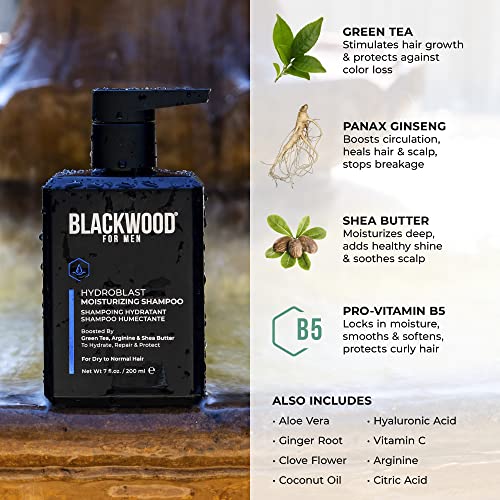 Blackwood For Men Hydroblast Moisturizing Shampoo - Men's Shampoo for Coarse, Dry, & Curly Hair-Infused with Ginseng & Ginger - Natural Vegan Formula -Sulfate Free, Paraben Free & Cruelty Free (7 Oz)