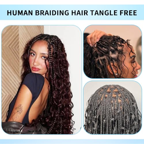 Human Braiding Hair for Boho Braids 100g 26 Inch Deep Wave Bulk Human Hair 100% Unprocessed 12A Brazilian Virgin Boho Hair for Braiding Knotless 2 Bundles/Pack Natural Color
